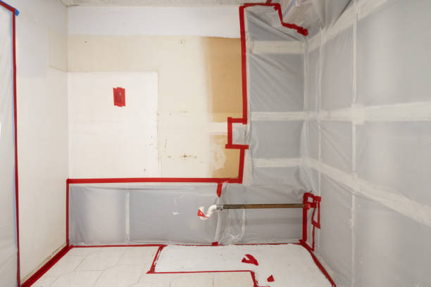 Professional Mold Removal in Passaic, NJ