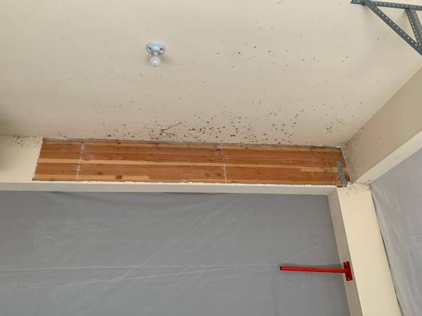 Asbestos and Lead Testing During Mold Inspection in Passaic, NJ